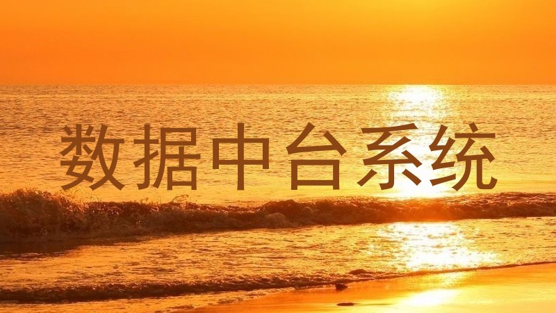 数据中台系统