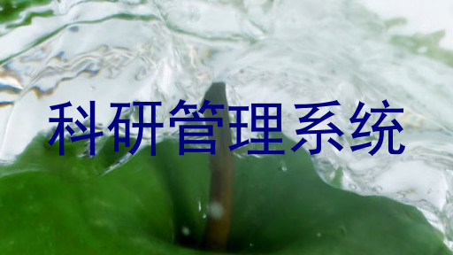 科研管理系统