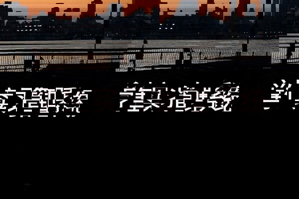 学生实习管理系统