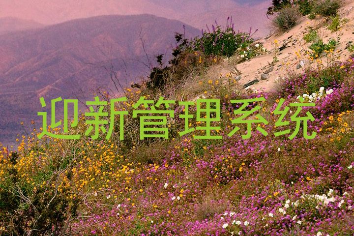 迎新管理系统