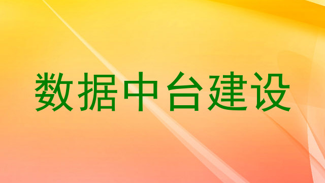 数据中台建设