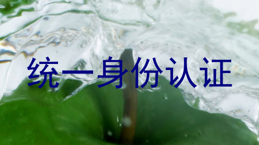 统一身份认证