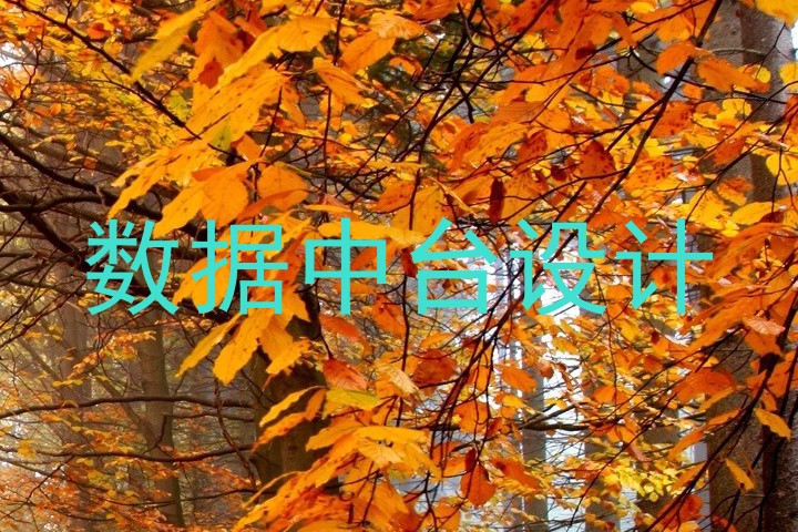 数据中台设计
