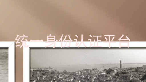 统一身份认证平台