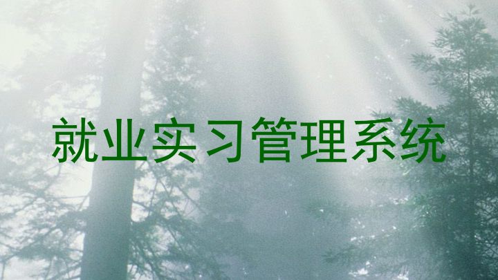 就业实习管理系统