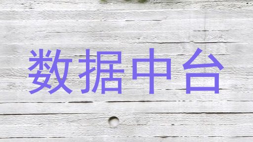 数据中台