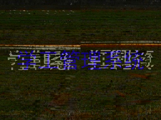 学工管理系统