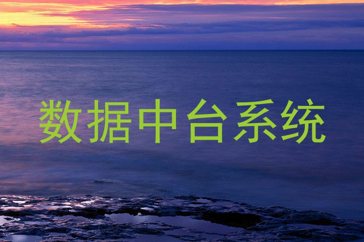数据中台系统