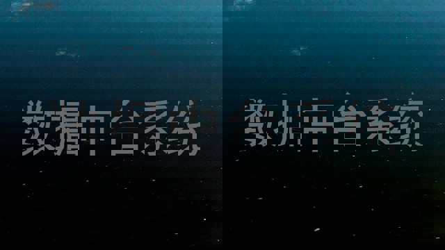 数据中台系统