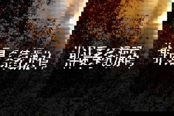 排课系统源码