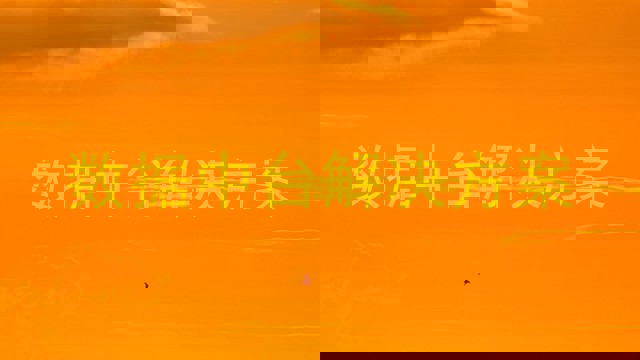 数据中台解决方案