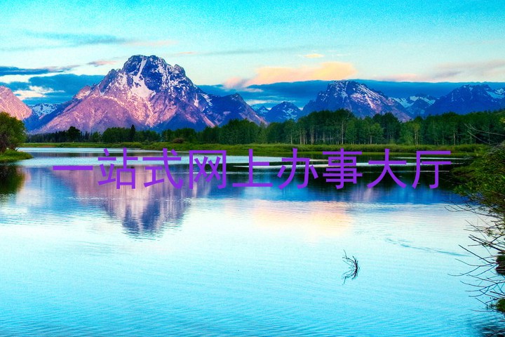一站式网上办事大厅