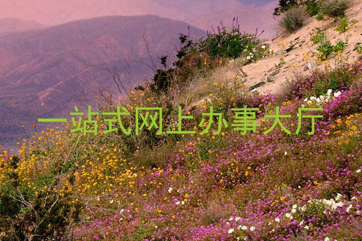 一站式网上办事大厅