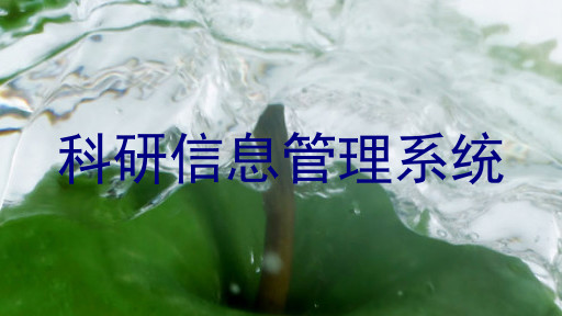 科研信息管理系统