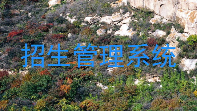 招生管理系統(tǒng)