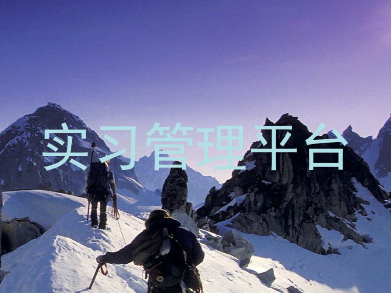實(shí)習(xí)管理平臺(tái)