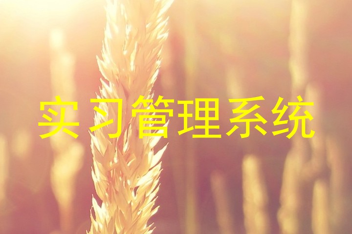 實習(xí)管理系統(tǒng)