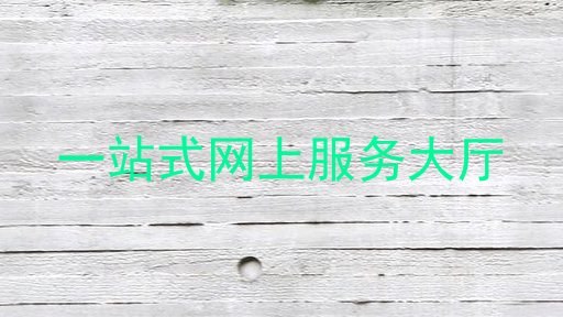 一站式网上服务大厅