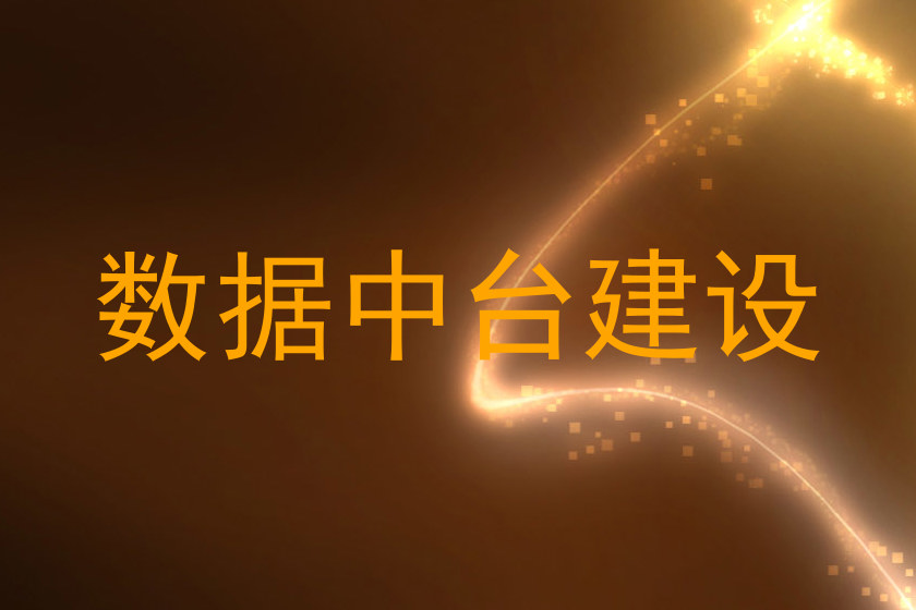 数据中台建设