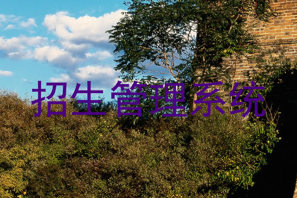 招生管理系統(tǒng)
