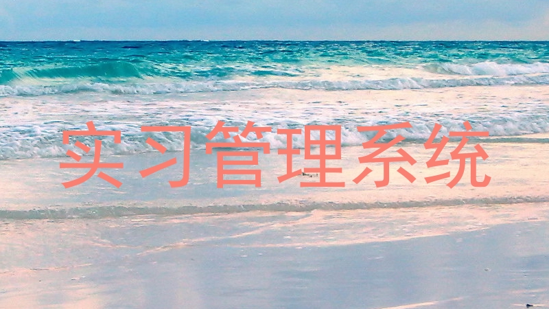 實(shí)習(xí)管理系統(tǒng)