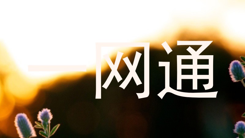 一网通