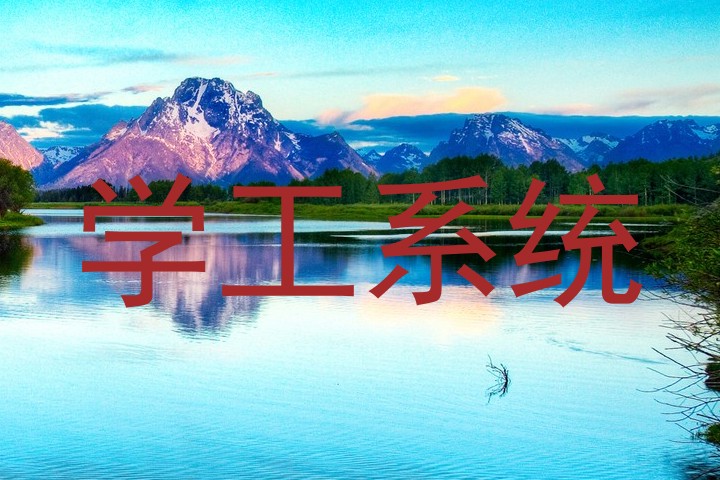 学工系统