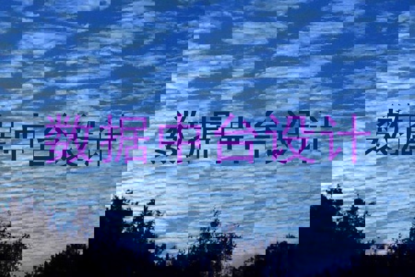 数据中台设计