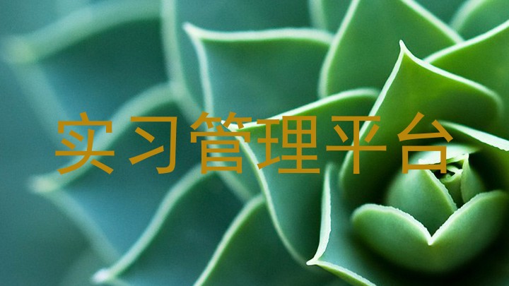 實習(xí)管理平臺