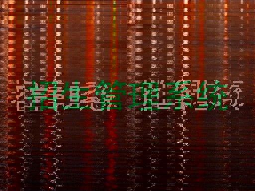 招生管理系統(tǒng)