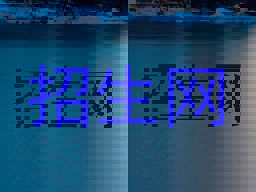 招生網(wǎng)