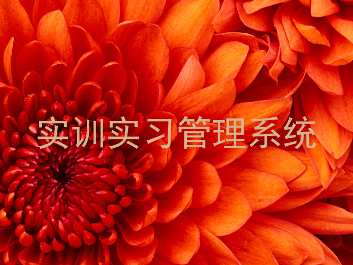 實訓實習管理系統(tǒng)