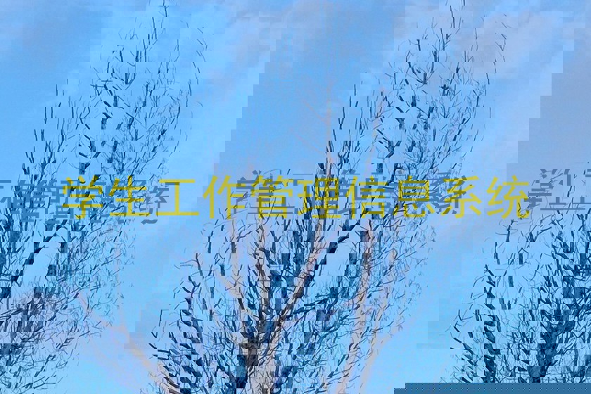 学生工作管理信息系统