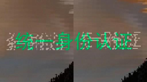 统一身份认证