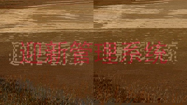迎新管理系统