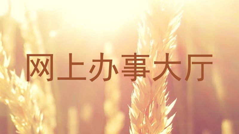 网上办事大厅