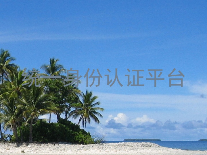 统一身份认证平台