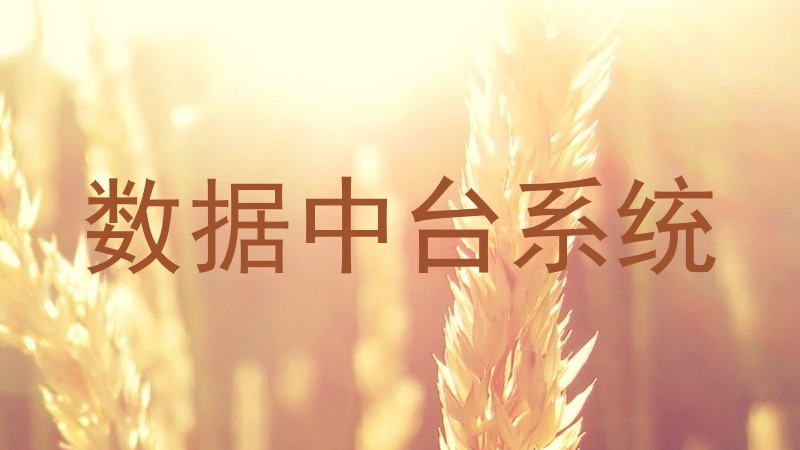 数据中台系统