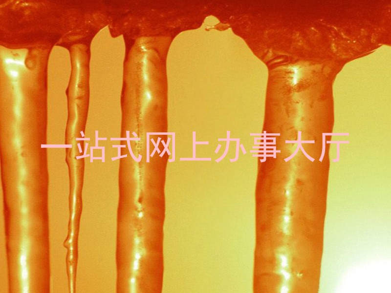 一站式网上办事大厅