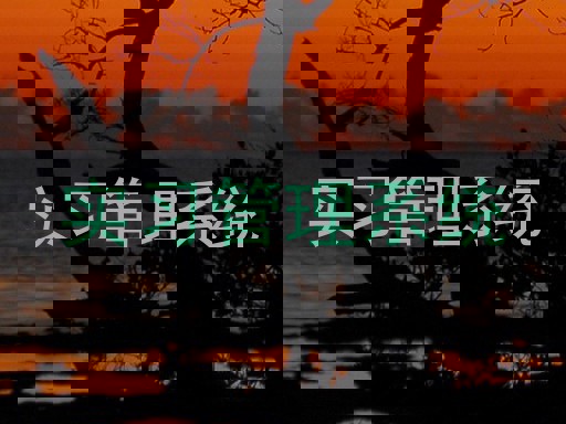 實習管理系統(tǒng)