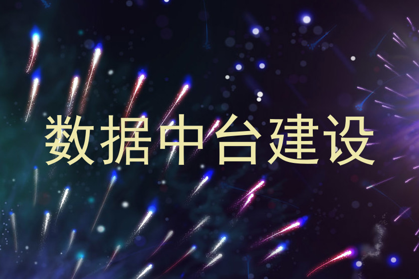 数据中台建设