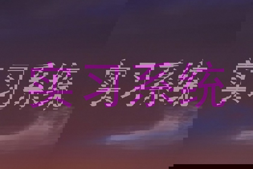 實習(xí)系統(tǒng)