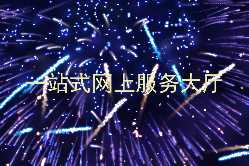 一站式网上服务大厅