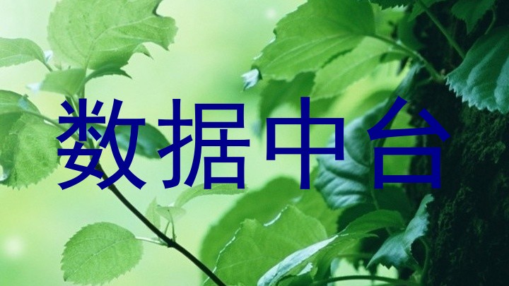 数据中台