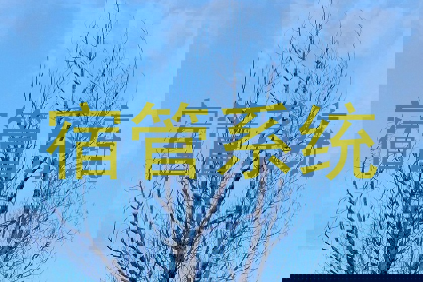 宿管系统