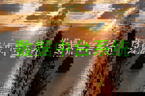 数据中台系统