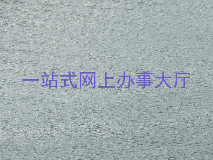 一站式网上办事大厅