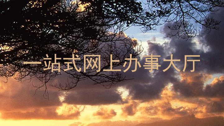 一站式网上办事大厅