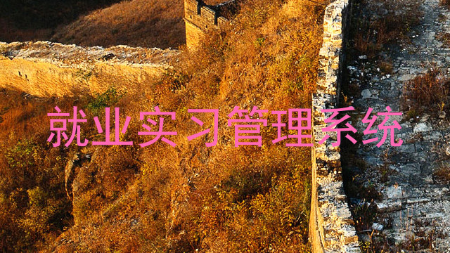 就業(yè)實習管理系統(tǒng)