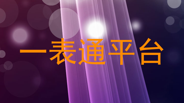 一表通平台